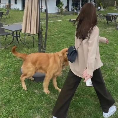 黑暗智宅 封面